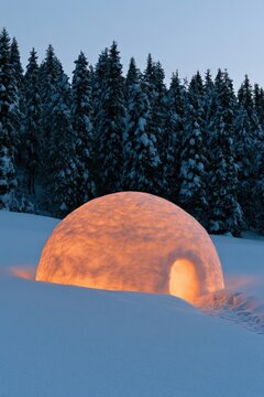 Warm lit igloo nestled in a snowy slope with pine forest backdrop for winter background and cozy poster design