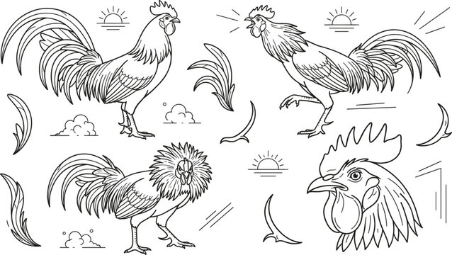 Rooster poultry farm line art vector bundle featuring crowing cockerels sunrise head profile and decorative feathers