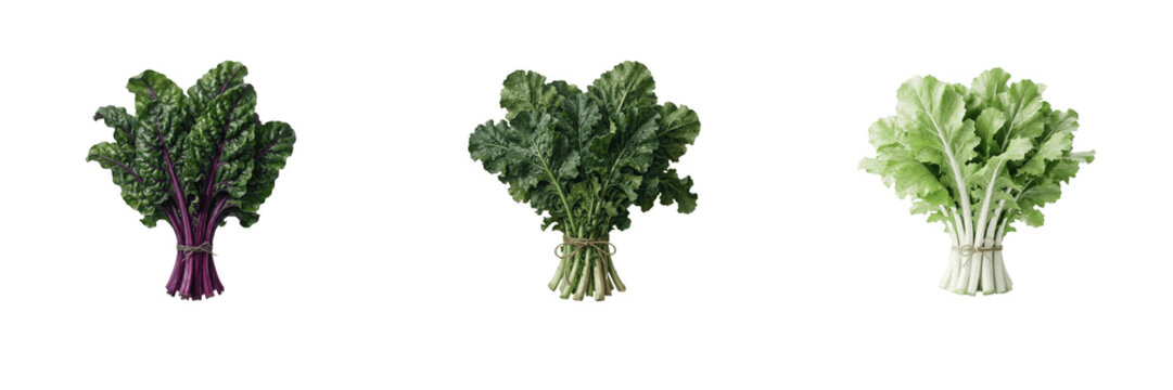 Set of fresh raw leafy greens bunches including chard, kale and collard greens isolated on white background, healthy organic vegetable ingredients for vegan diet and nutrition flat lay composition cli