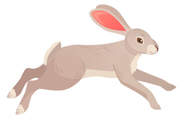 Obraz premium Hare running. Wild rabbit in nature. Forest animal