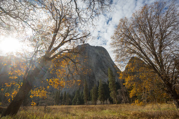 Obraz premium Autumn in Yosemite