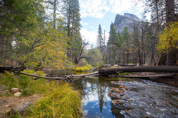 Obraz premium Autumn in Yosemite