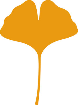 Flat Yellow Ginkgo Biloba Leaf Vector Illustration