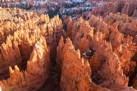 Bryce