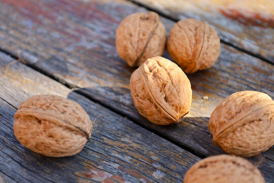 Whole walnuts in shell are scattered on an old wooden table surface. Soft natural light emphasizes the texture of the nutshell and wood grain. Composition conveys the atmosphere of autumn harvest, com