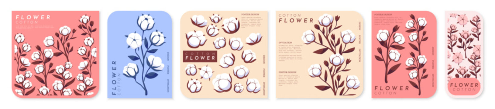 Cotton card. Flower poster. Label design with branch. Organic postcard. Fluffy stem, decorative organic prints and modern pattern. Flyer botanical branding vector garish brochure isolated illustration