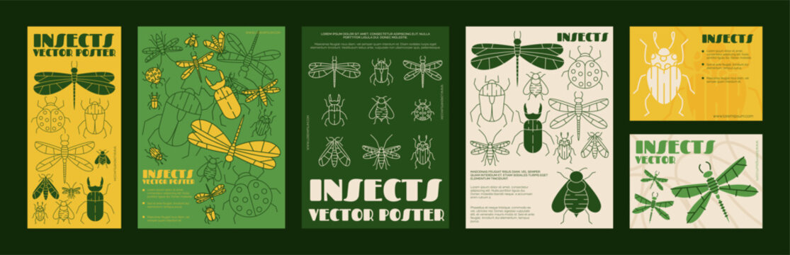Insect poster. Cover design, creative dragonfly, typography with beetle. Modern flyer with ladybug, line drawings. Contemporary creative label art. Vector garish print flat style isolated illustration