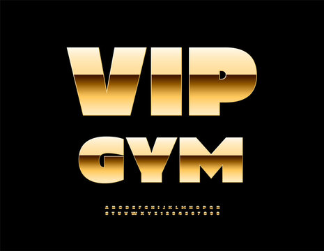 Vector Premium icon Vip Gym. Elite Gold Font for Logo Design. Cool Metallic set of Trendy Alphabet Letters and Numbers. 