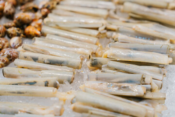 Fresh razor clam seafood delicious mollusk market ice raw shellfish ocean food culinary © JK_kyoto