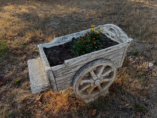 Weathered wooden cart planter resting in a dry grassy outdoor setting, with colorful yellow, orange, and red flowers growing from its soil-filled bed. © Mateas Sebastian