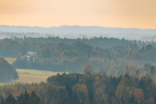 Misty autumn landscape with layered forest, rolling hills, distant fields, and warm morning light across a tranquil rural countryside panorama viewed from an elevated position
