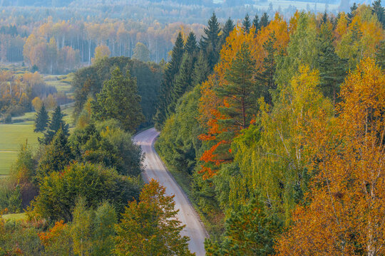 Winding rural road through vibrant autumn forest with orange, yellow, and green trees overlooking rolling countryside and distant wooded hills, scenic fall landscape