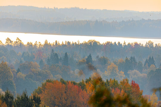 Misty autumn forest with colorful deciduous trees, calm lake, layered hills, and warm morning light in a scenic woodland landscape