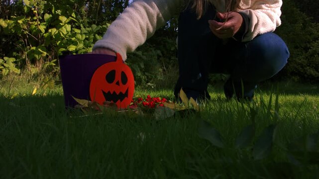 Halloween trick or treat bag full of apples in Autumn garden