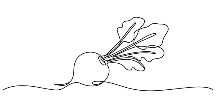 Continuous single line drawing of a fresh beetroot vegetable with green leaves growing in the soil for healthy food and organic farm design isolated on transparent background, Vector