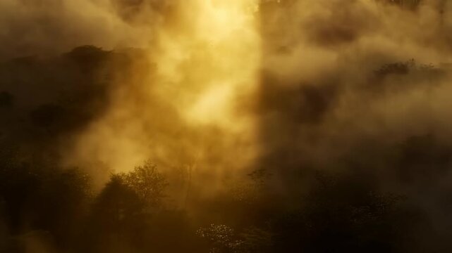 Golden smoke drifts through a hazy woodland beneath diffuse sunlight. Cinematic title sequences, documentary intros, and mystery and suspense projects.
