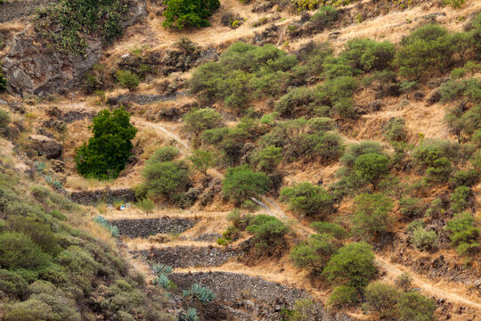 Paisaje de bancales en Barranco Hondo de Abajo, Gran Canaria, Espa&ntilde;a