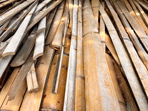 Natural bamboo material with textured stalks and joints