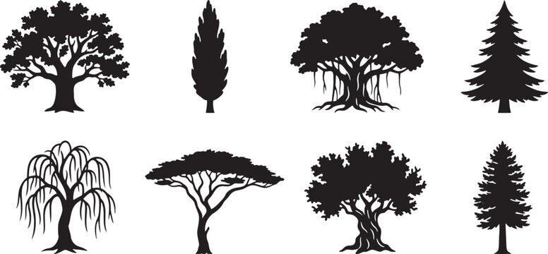 Various tree species shapes from oaks to pines and acacias