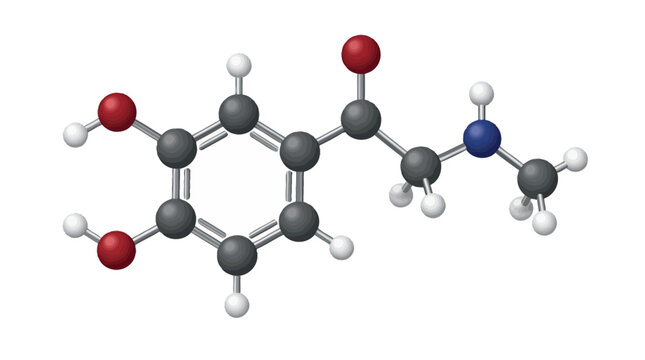 Catecholamine chemical molecule structure in 3d ball and stick model