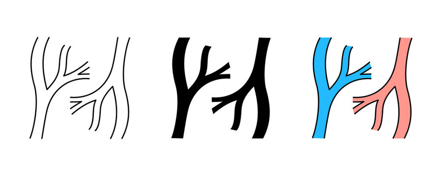 Three human vein icons in outline, solid, and color representing circulation and health.