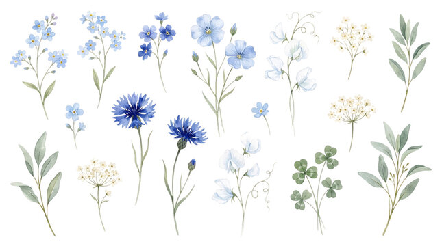 Delicate watercolor blue wildflowers collection featuring cornflowers forget me nots flax blossoms and green leaves painted by hand displayed gracefully on transparent background