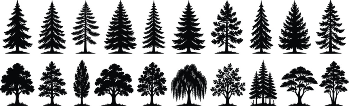 Tree Silhouette Collection Featuring Evergreen and Deciduous Forest Tree Varieties