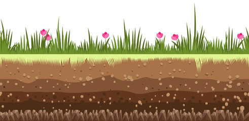 Obraz premium Meadow soil layers. Nature field underground environment
