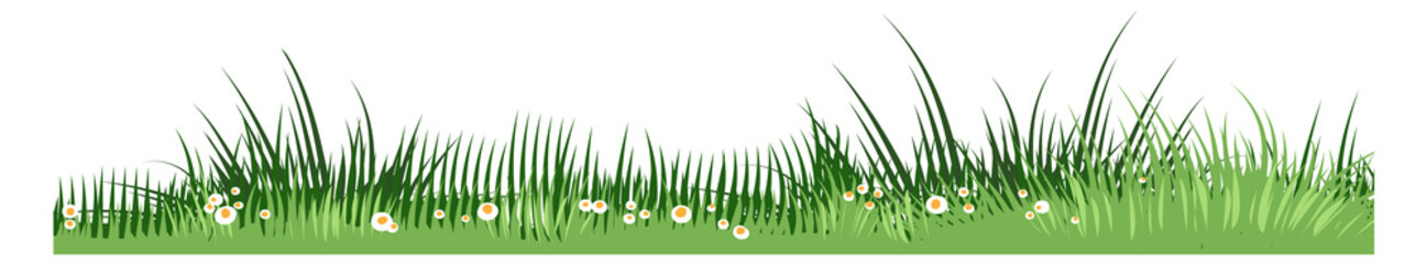 Obraz premium Grassland seamless ground. Growing grass field lawn