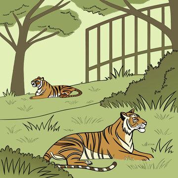 Majestueux salons de tigres du Bengale dans l&rsquo;herbe verte luxuriante de son enclos de zoo