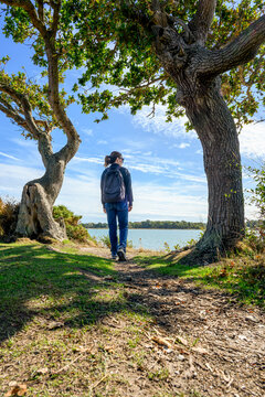 Woman Hiker Standing Under Trees Overlooking a Coastal Bay