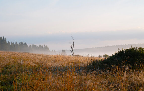 Misty Summer Sunrise Over the Sumava Landscape