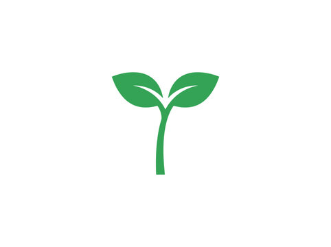 A single green sprout with two leaves emerging from a neutral background symbolizes growth and renewal.
