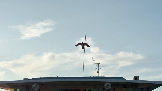 A bird-shaped kite flies on a pole mounted atop the upper deck of a cruise ship. Colorful bunting flags dangle along the deck edge against a bright, cloud-dotted sky during a trip on Lake Ladoga.