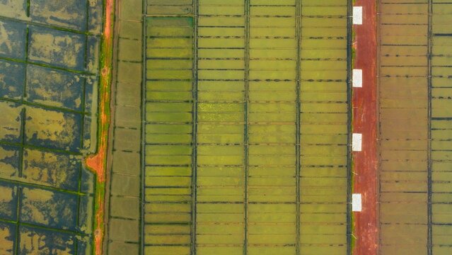 Aerial view of agricultural fields with distinct grid patterns and a red dirt path in Gokarna, Karnataka, India.