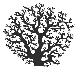 Fototapeta premium Wild reef branch. Black ocean fauna silhouette