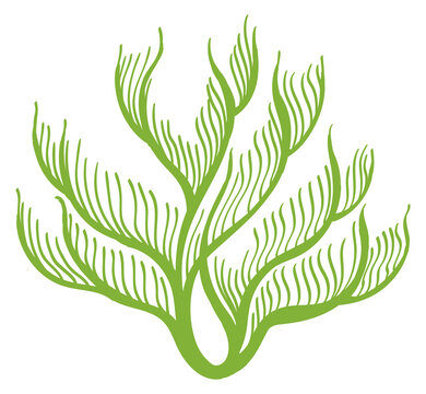 Green ocean plant. Underwater seaweed. Wildlife icon