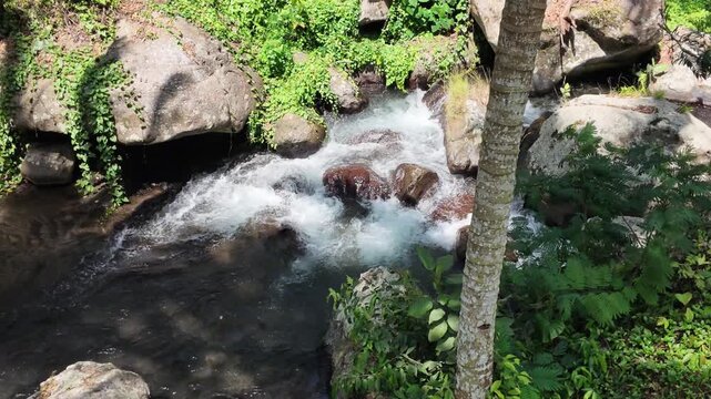 Clear river water flowing over volcanic rocks in lush tropical jungle at Gunung Kawi Bali, nature scene with cascading stream, peaceful forest atmosphere, wellness, serenity, ecosystem, environment