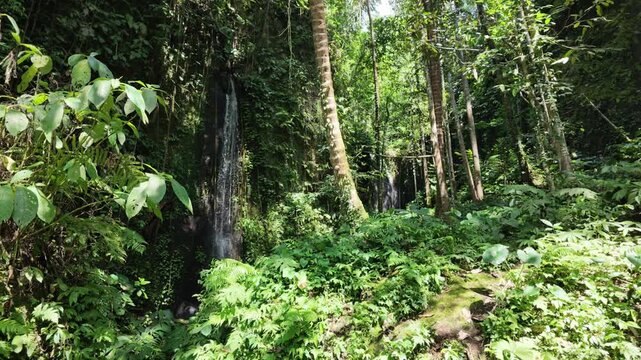 Lush tropical rainforest waterfall cascading down mossy cliff face in Gunung Kawi Bali with dense fern foliage, sunlight streaming through jungle canopy, serene nature, peaceful wilderness travel