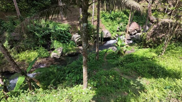 Lush tropical ravine at Gunung Kawi temple in Bali featuring a winding stream, mossy rocks, dense foliage, palm trees, tranquil atmosphere, perfect for nature travel and peaceful landscape