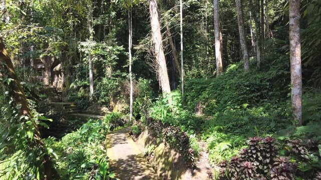 Stone pathway through lush tropical jungle at Gunung Kawi temple in Bali, verdant forest foliage, ancient cliff side, peaceful nature trail, serenity, exotic travel destination, jungle exploration
