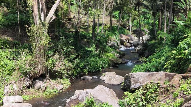Tropical river flowing through lush Gunung Kawi jungle in Bali, featuring mossy boulders, dense rainforest canopy, cascading water, serene natural atmosphere, perfect for travel and eco content