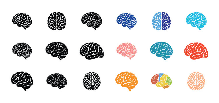 Brain Icon Set Featuring Colorful And Monochrome Medical Illustrations