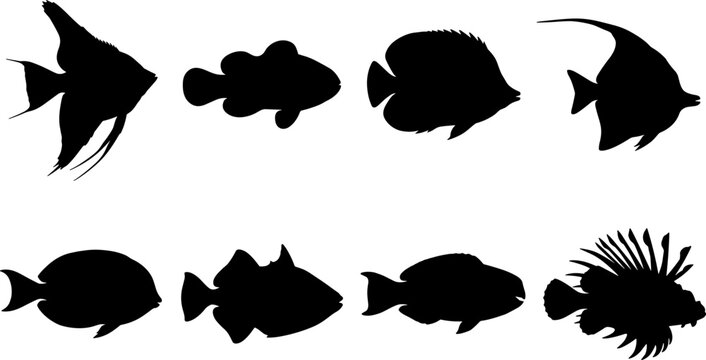 Eight tropical reef fish solid black vector silhouettes bundle isolated on pure white background