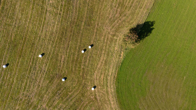 Aerial view of hay bales scattered across a harvested field next to a lush green meadow with a single tree in Poland.