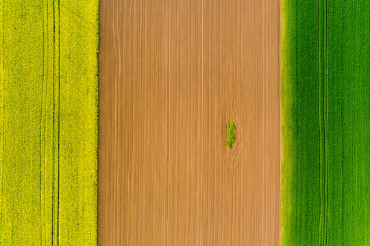 Aerial view of vibrant yellow rapeseed, brown plowed earth, and lush green crops forming geometric patterns in the countryside of Bulgaria.