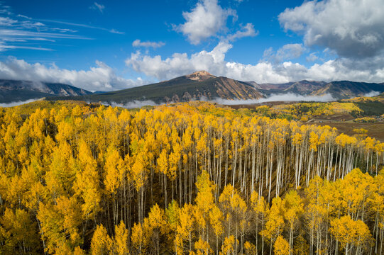 "The Red Lady", Mount Emmons over the Golden Aspens.