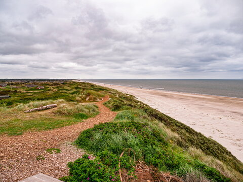 Varde, Denmark - 20.06.2015: Winding dirt path through green coastal dunes overlooking a wide sandy beach and the North Sea under overcast skies