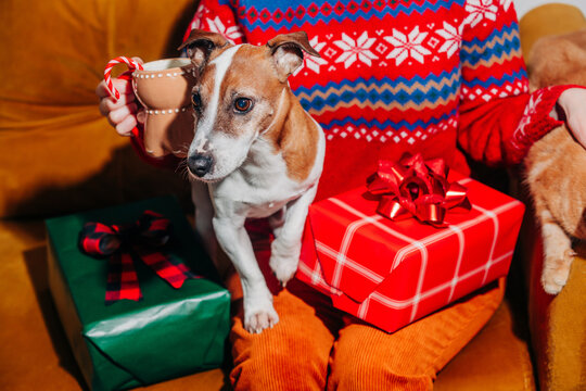 Woman with dog and cat beside Christmas gifts at home