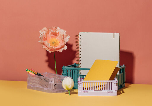 Colorful stationery and flower display on pastel background